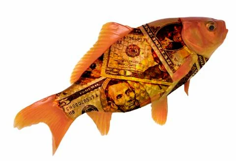 Rich Fish Foto stock