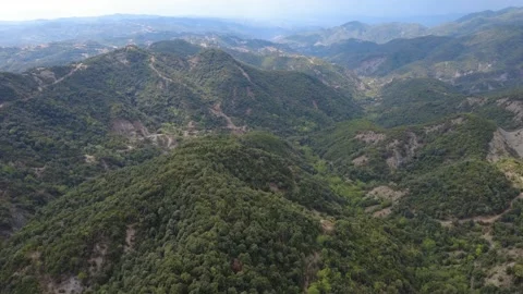 Rich Forested Mountain over Pine forest in Arta Greece available in 4k 動画素材 315471078