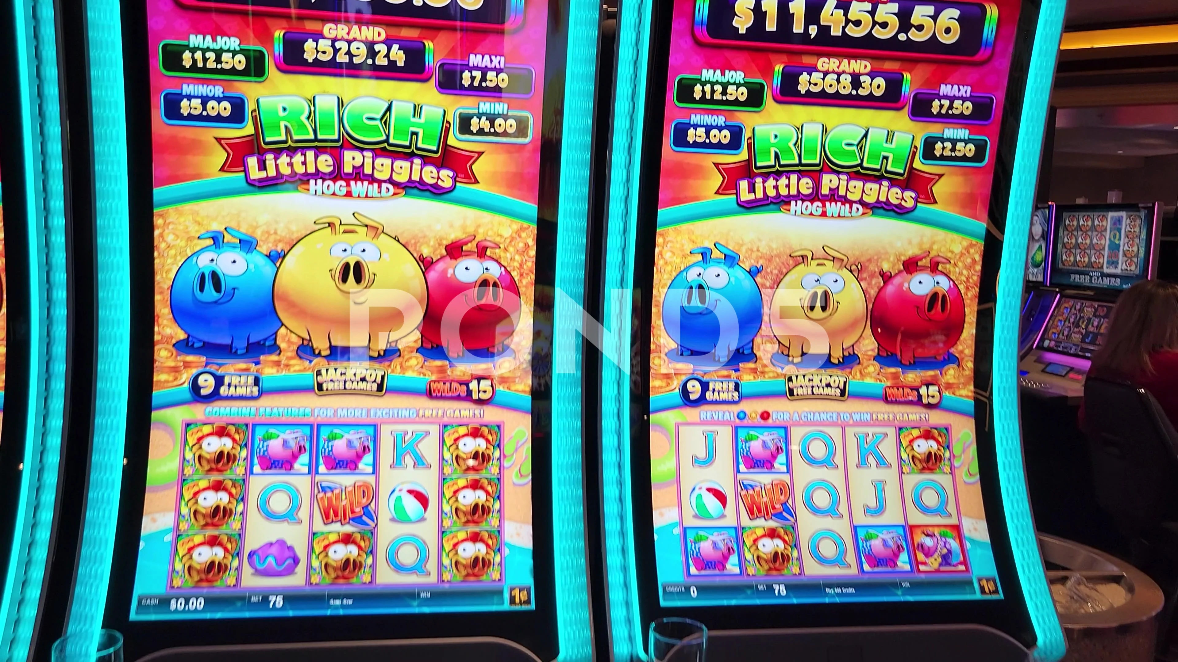 hog wild slot machine