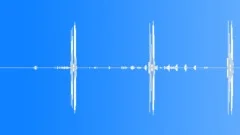 Rich North American Spring Wetland Soundscape Sound Effect