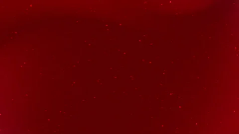 A rich red abstract background showcasing subtle gradients and sparkling details Stock Footage 292054218