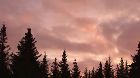 Rich Sunset Trees and Clouds Stock-Footage 2346094