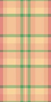 Rich vector fabric background, 70s plaid pattern texture. Ethnic check tart.. Illustrazione stock