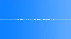A Rich Wetland Chorus North America Sound Effect