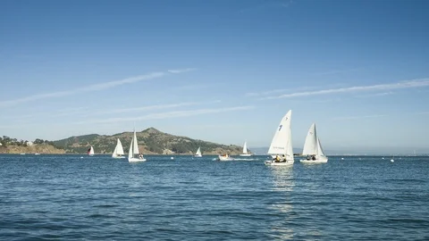 Richardson Bay Sausalito Video stock 88741735