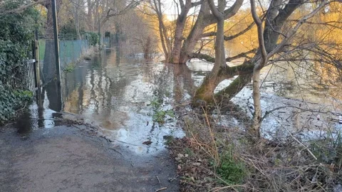 Richmond high Tide 库存影片 263811513