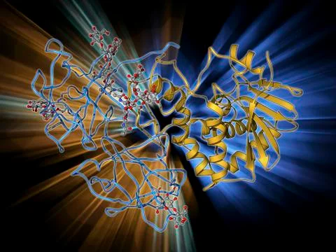 Ricin molecule Stock Illustration