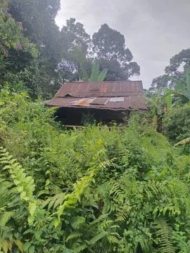 Rickety hut Stock Photos