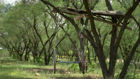 Rickshaw Carcass Stock Footage 235919460