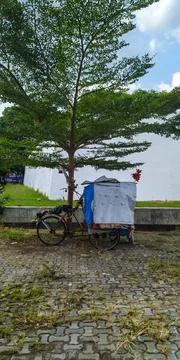 Rickshaw parked under the tree beside the old building Stock Photos