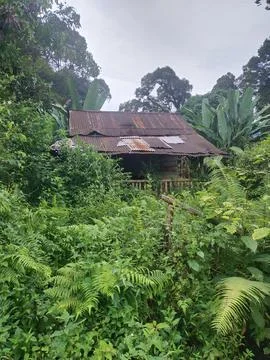 Rickty hut Stock Photos