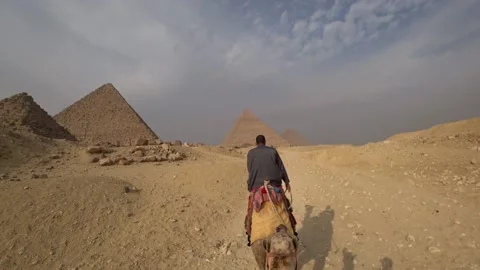 Ridding camel Stock Footage 157822888