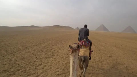Ridding camel pyramids Stock Footage 157822864