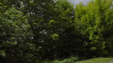 The ride along the tree against the background of cloud. Wide angle. Real time Stock Footage 64880451