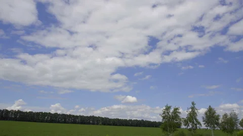 The ride along the tree against the background of cloud. Wide angle. Real time Vídeo Stock 64880700
