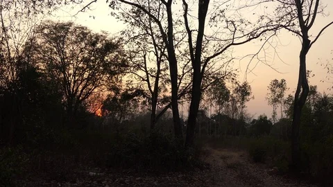 Ride a bicycle in the evening Stock-Footage 124523645