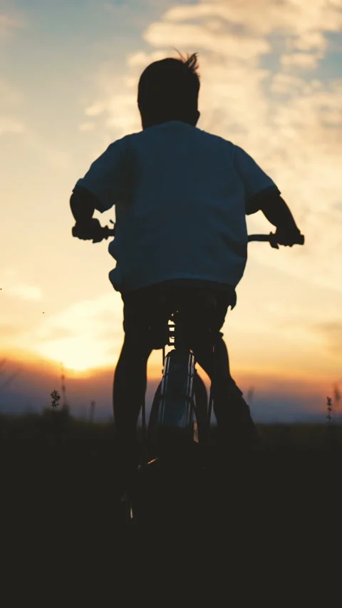 Ride bicycle in summer time, back view of happy boy moving forward on field Stock Footage 315089401