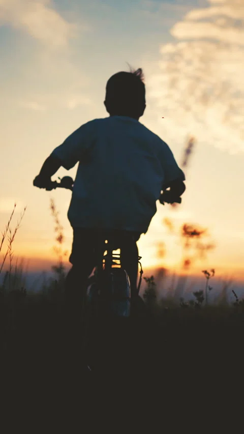 Ride bicycle in summer time, back view of happy boy moving forward on field Stock Footage 315511405