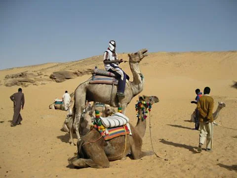 Ride a camel Stock Photos