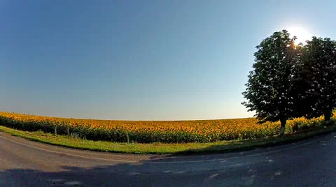 Ride on a car Stock Footage 25462518