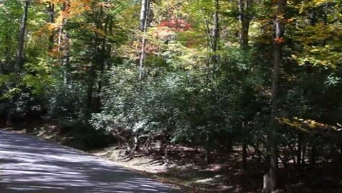 Ride on a county road Stock Footage 8830877