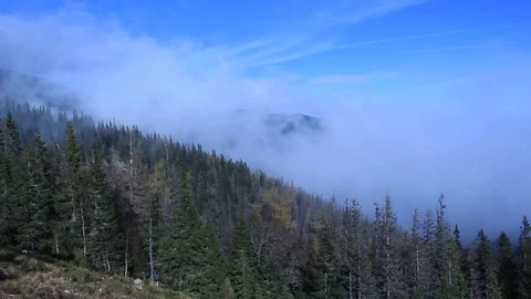 Ride down on funicular in mountains Stock Footage 70876018