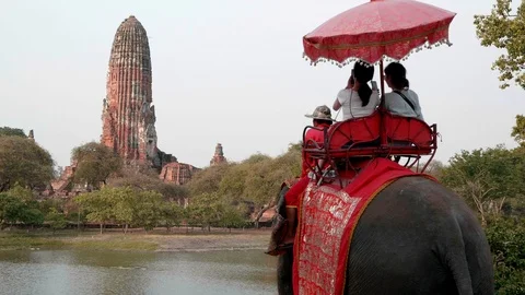 Ride elephant in Ayutthaya Stock Footage 106598394