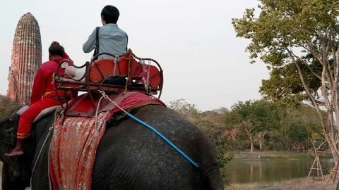 Ride elephant in Ayutthaya2 Stock Footage 106598470