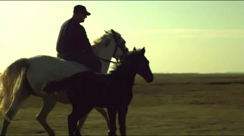 Ride Stock Footage 1044228