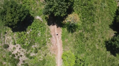 Ride Stock Footage 162000450