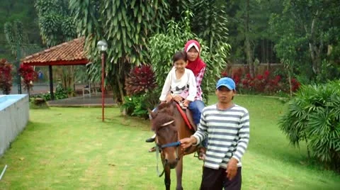 Ride Horse Stock Footage 10687870