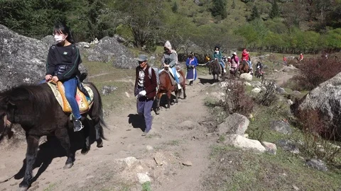 Ride horses Stock Footage 91885759