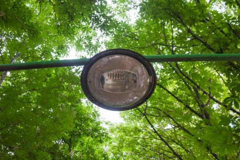 Ride Lamppost Trees 스톡 사진