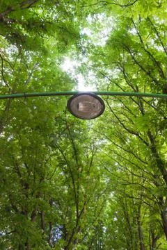 Ride Lamppost Trees 스톡 사진