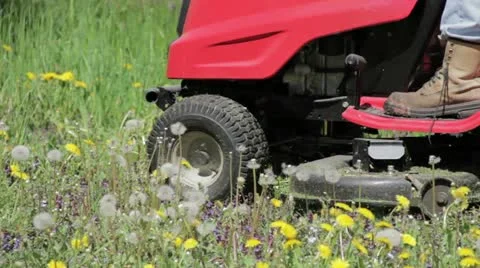 Ride-on Lawnmower Vidéo 11317048