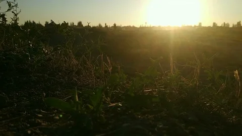 Ride motorcycle 動画素材 98058614