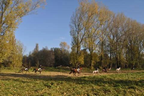 Ride out 스톡 사진