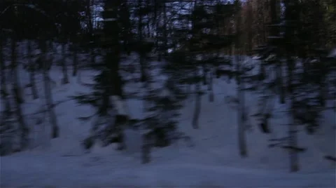 Ride shot of forest in winter Stock-Footage 47207223