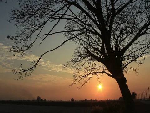 Ride into the Sunset. Stock Footage 78133473