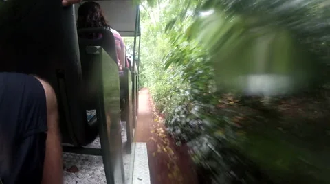 Ride Though The Amazon Jungle Stock Footage 45283061