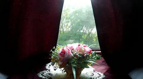 Ride the train Stock Footage 11884730