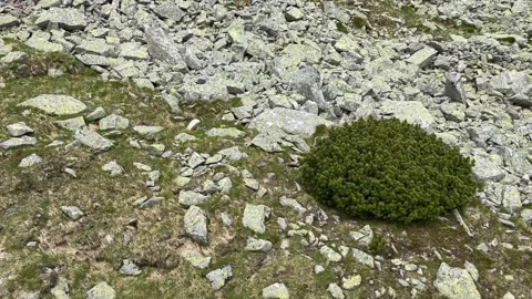 Ride on a two-seater cable car with a beautiful view of the surroundings Stock Footage 278345124