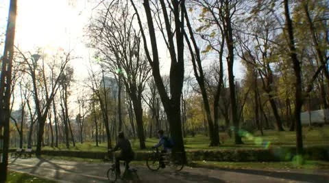 Ride in the woods. Stock Footage 10579753
