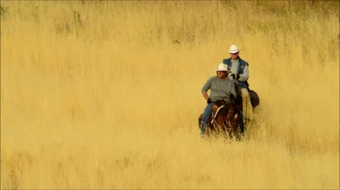Ride'em Cowboy Stock Footage 52372499