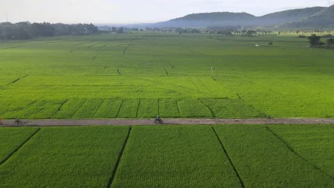 Rider &amp; Cyclist on the Path Video stock 146568640