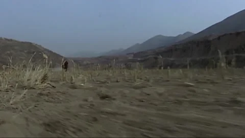 Rider Stock Footage 235264276