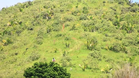 Rider going up a trail Stock Footage 89728305