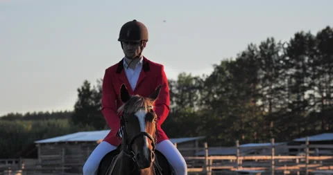 Rider on horseback while walking Stock-Footage 146834615