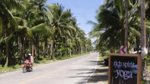 A Rider Passing a Long Farm of Coco Tree near on this Highway Stock Footage 332364674