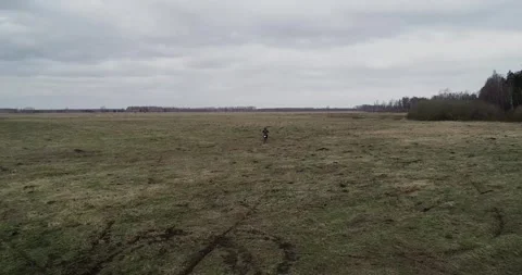 A rider skillfully navigating an expansive open field while riding a powerful Stock Footage 310513419